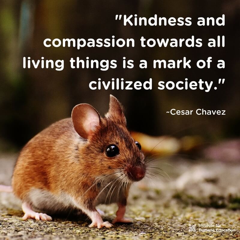 Picture related to the title of the story