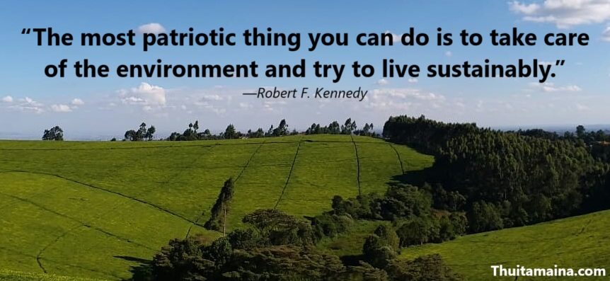 Picture related to the title of the story