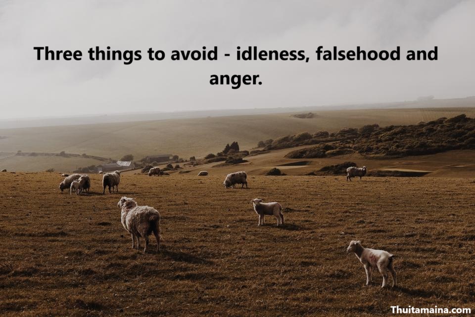 Picture related to the title of the story