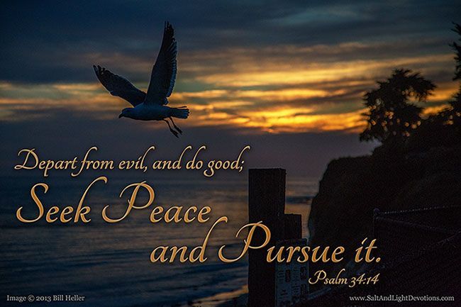 Picture related to the title of the story