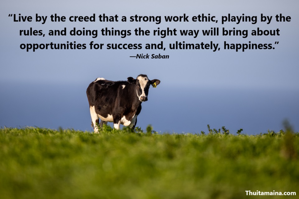 Picture related to the title of the story