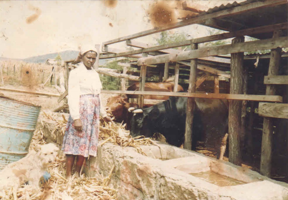 Picture related to the title of the story