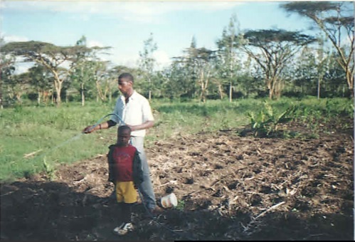 Picture related to the title of the story