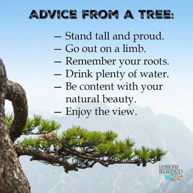 Picture related to the title of the story